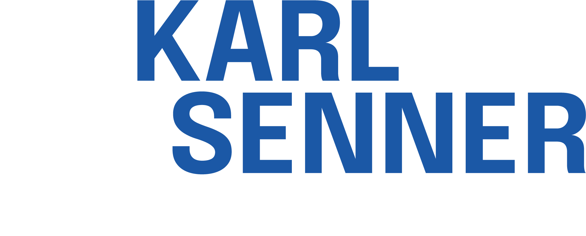 Karl Senner, LLC — Propelling Excellence
